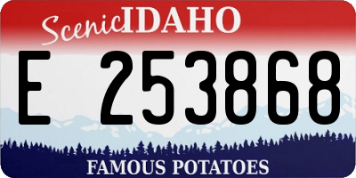 ID license plate E253868