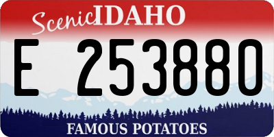 ID license plate E253880