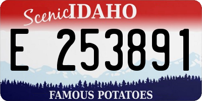 ID license plate E253891