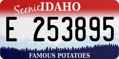 ID license plate E253895