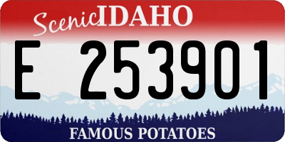 ID license plate E253901