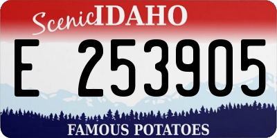 ID license plate E253905