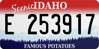 ID license plate E253917