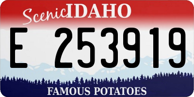 ID license plate E253919