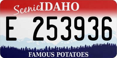 ID license plate E253936