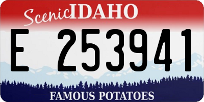 ID license plate E253941