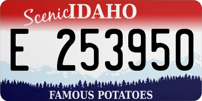 ID license plate E253950