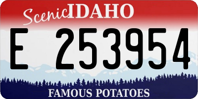 ID license plate E253954