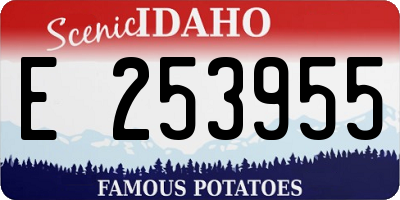 ID license plate E253955