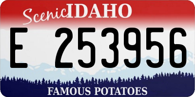 ID license plate E253956