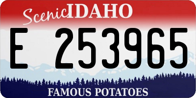 ID license plate E253965