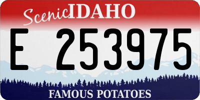 ID license plate E253975