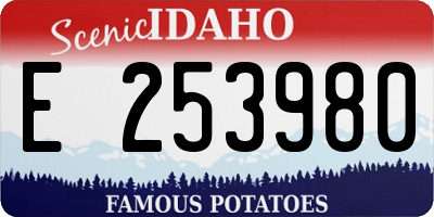 ID license plate E253980