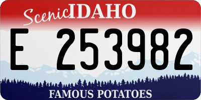 ID license plate E253982