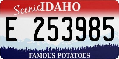 ID license plate E253985