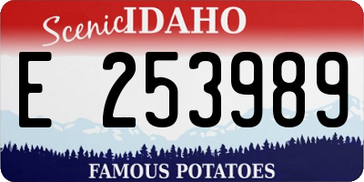 ID license plate E253989