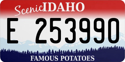 ID license plate E253990