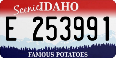 ID license plate E253991