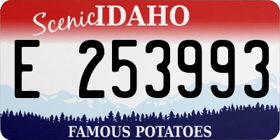 ID license plate E253993