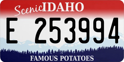 ID license plate E253994