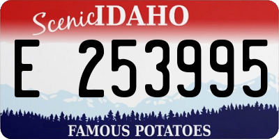 ID license plate E253995