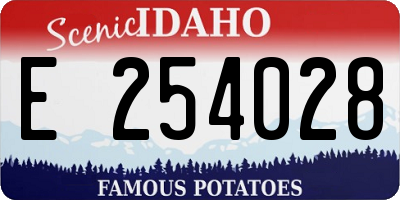 ID license plate E254028