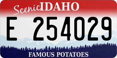 ID license plate E254029