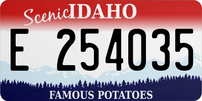 ID license plate E254035