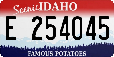 ID license plate E254045