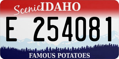ID license plate E254081