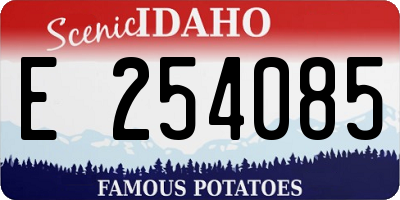 ID license plate E254085