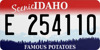 ID license plate E254110