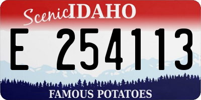 ID license plate E254113
