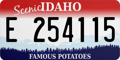 ID license plate E254115