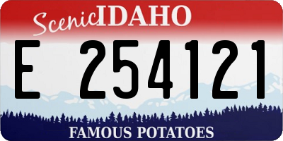 ID license plate E254121