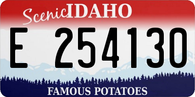 ID license plate E254130