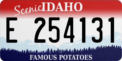 ID license plate E254131