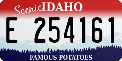 ID license plate E254161