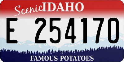 ID license plate E254170