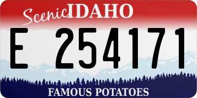 ID license plate E254171