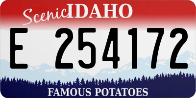 ID license plate E254172