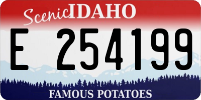 ID license plate E254199