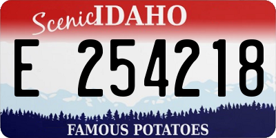 ID license plate E254218