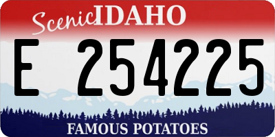 ID license plate E254225