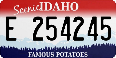 ID license plate E254245