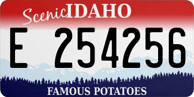 ID license plate E254256