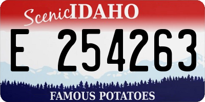 ID license plate E254263