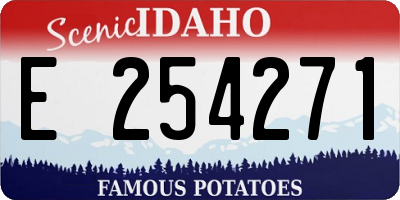 ID license plate E254271
