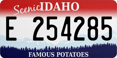 ID license plate E254285
