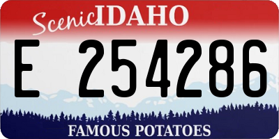ID license plate E254286